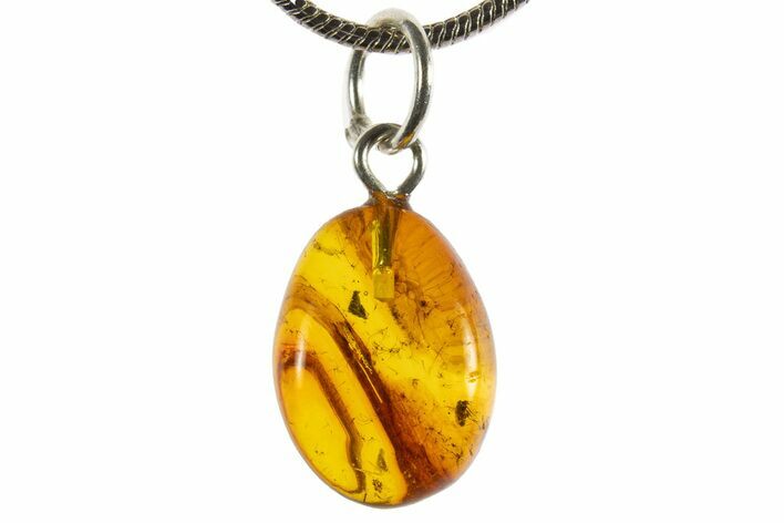 Polished Baltic Amber Pendant (Necklace) - Contains Fly! #339566